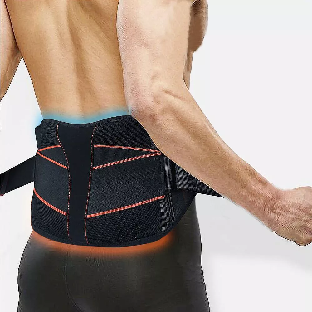 Lumborum Back Support Cingulum enim dolor Solamen